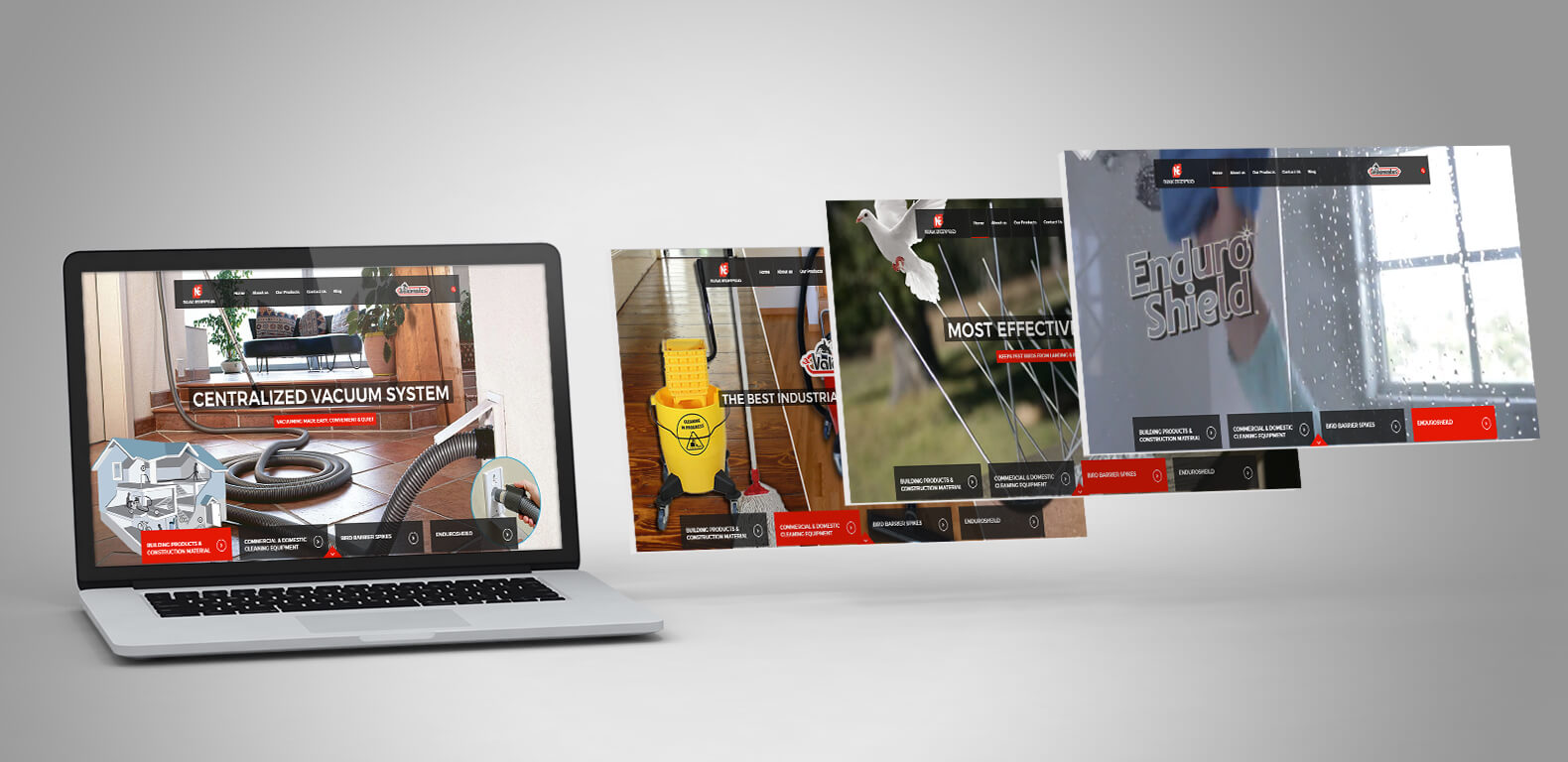 Website-Design-Development-Valemaster.